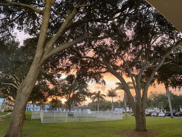 Park on Central | 12 Months Free on 1 Bedroom Apartments in Kissimmee — Photo 36