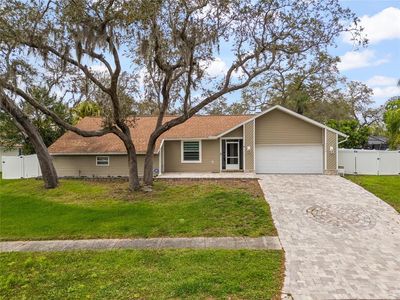 3088 ENISGLEN DRIVE, Palm Harbor, FL, 34683