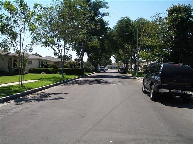 TREE LINED STREET