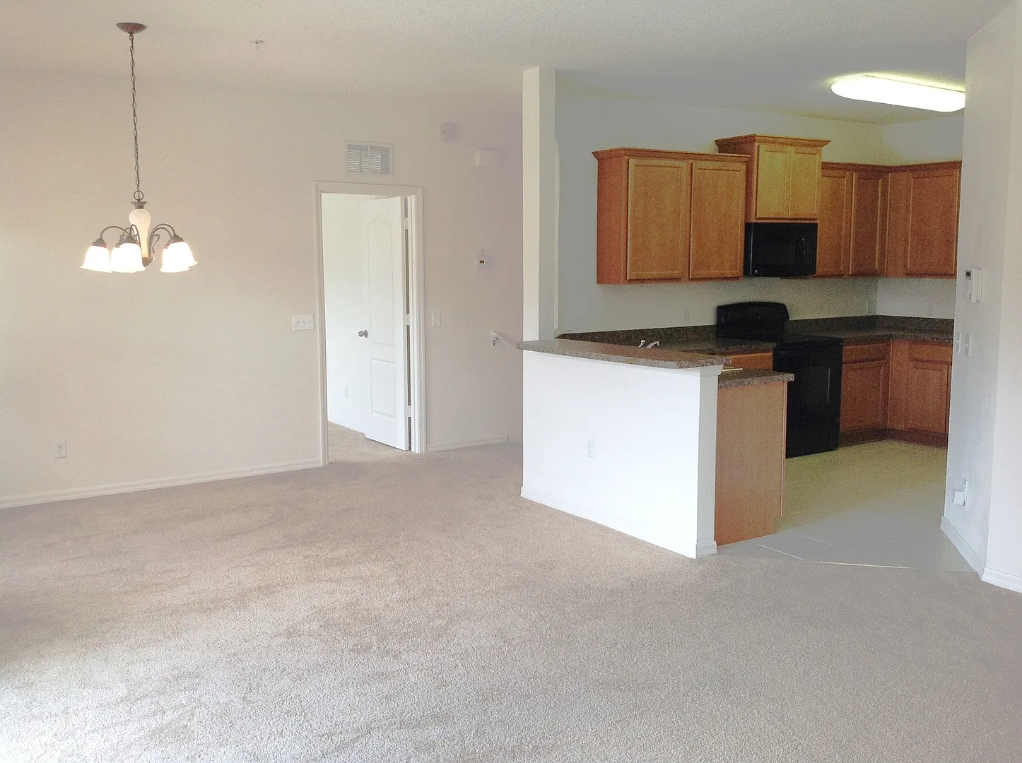 2 Bed /2 bath with Garage - Jefferson Green At Anthem Park — Photo 2