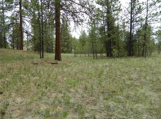 111 Tbd Squirrel Rd, Tonasket, WA 98855