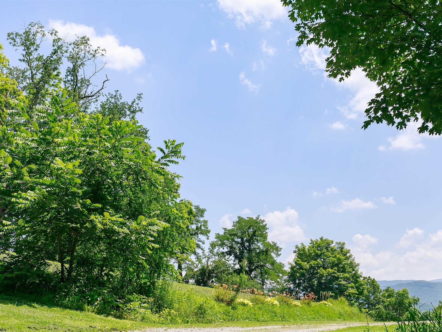 Route 250 Rd, Huttonsville, WV 26273 MLS 10145047 Zillow