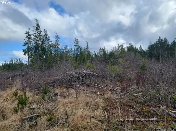 Ocean Beach Rd, Copalis Crossing, WA 98536