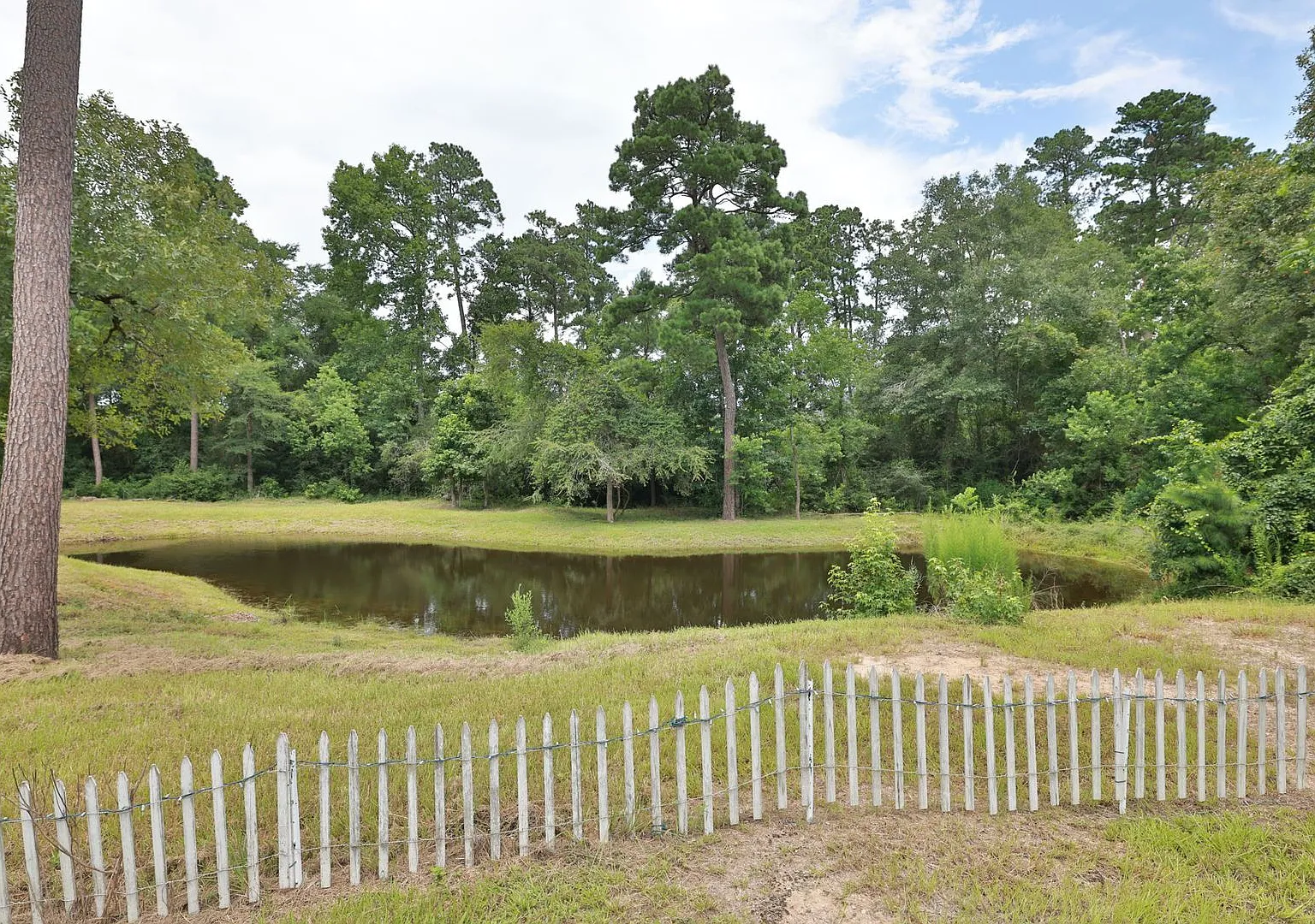 For Lease | 3 Bed, 2 Bath | 1,280 Sq Ft |Tomball Community | — Photo 4