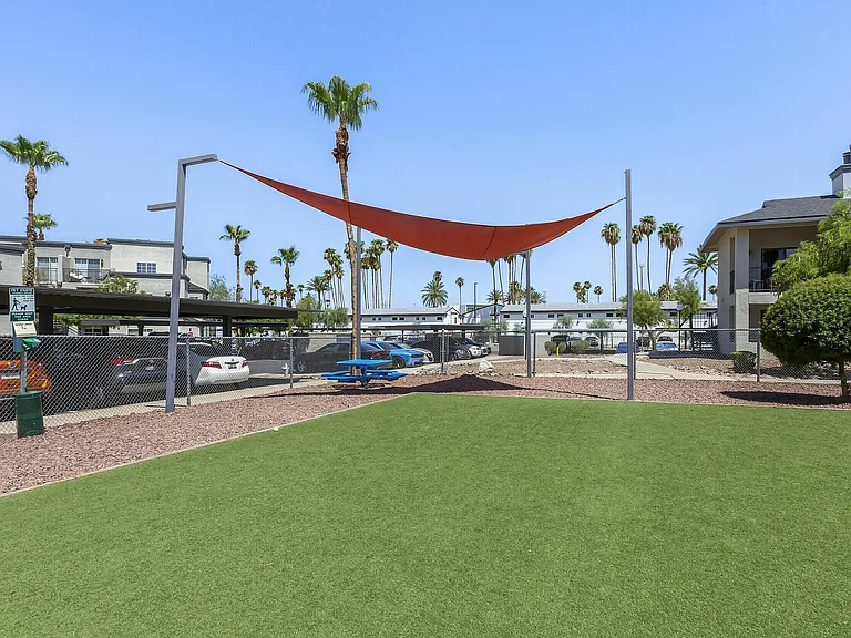 Dog Park