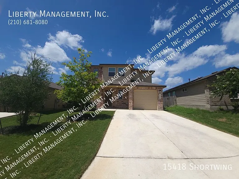 15418 Shortwing — Photo 2