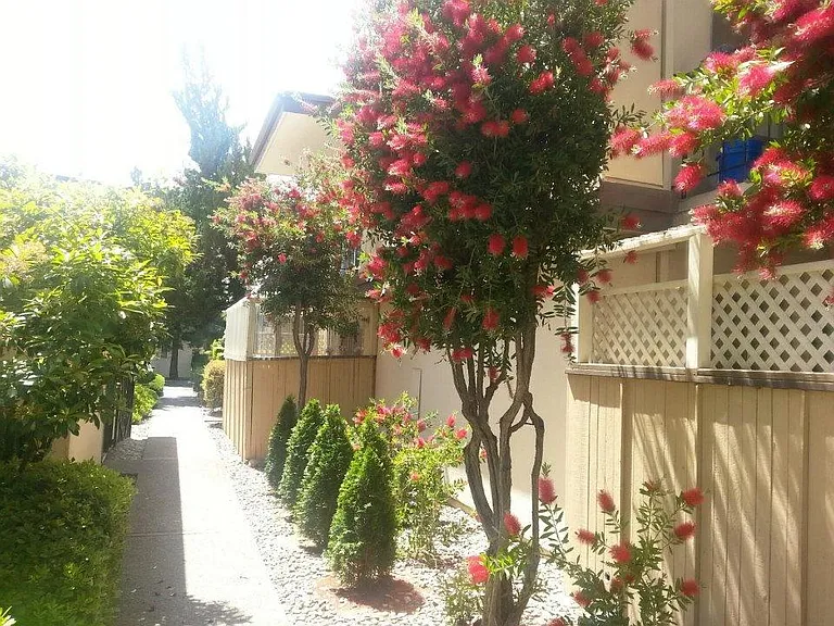 Marconi Gardens East — Photo 14