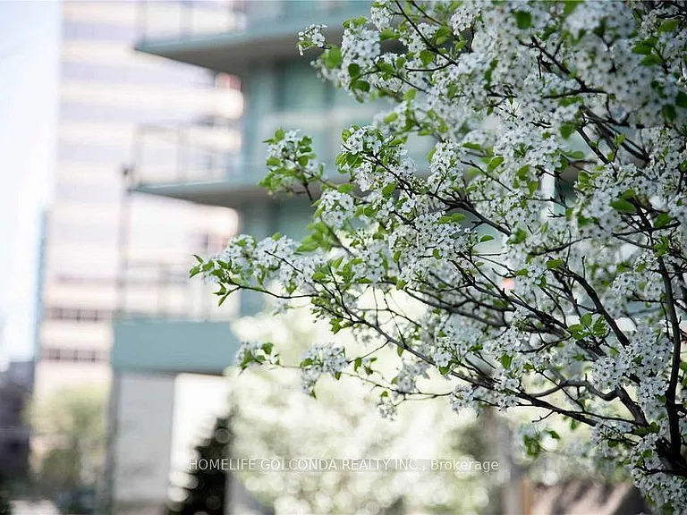 5500 Yonge St #505 — Photo 4