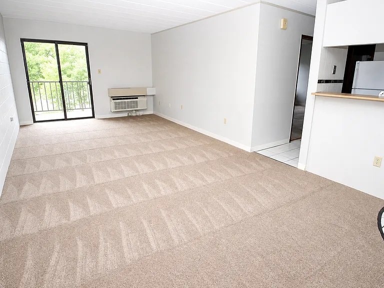 1-Bed/1-Bath (Carpeted)