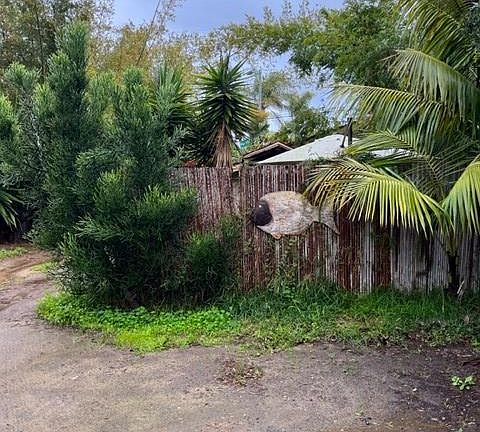 Huge, tropical yard!