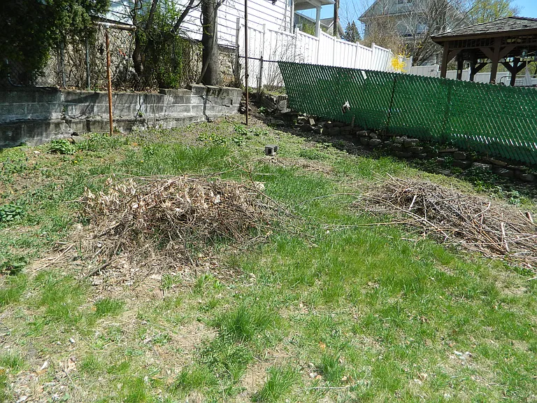 127 E Pine St #1 — Photo 12