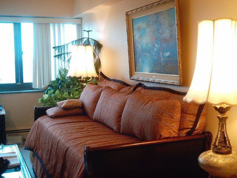 lIVING ROOM/BEDROOM