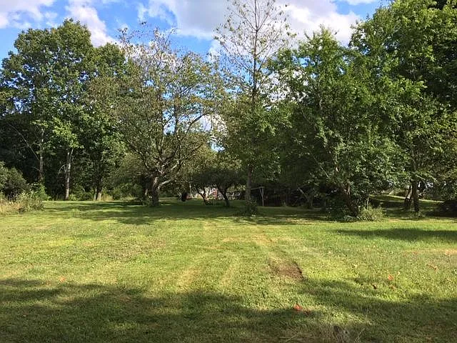 3 bed, 1800 sqft, $2,950 — Photo 2