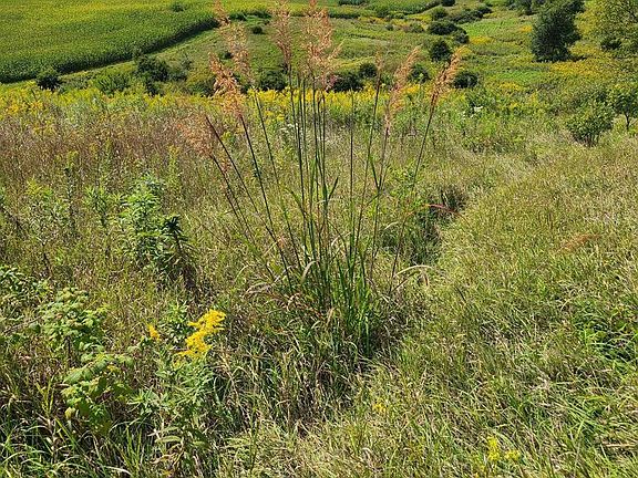 3rd image of L2 N Hay Hollow Road #2