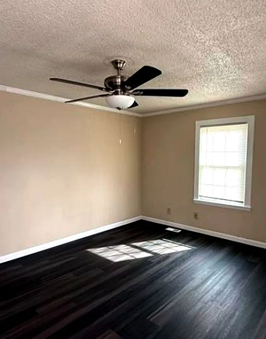 Renovated 2 bed & 1 bath home — Photo 2