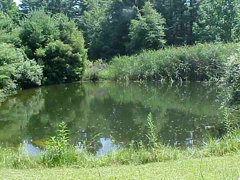3rd image of 2890 SHAW Road