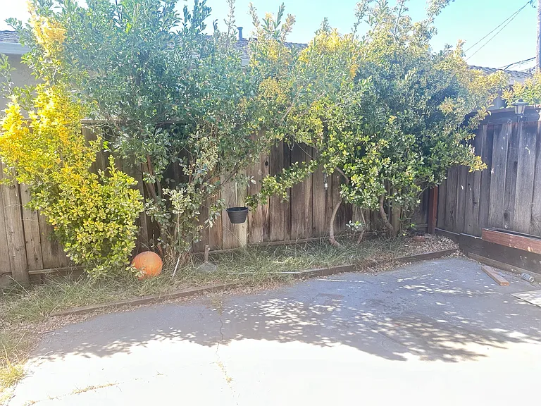 Nelson Way — Photo 9