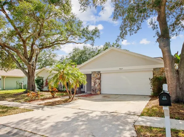 9807 Stephenson Dr, New Port Richey, FL 34655