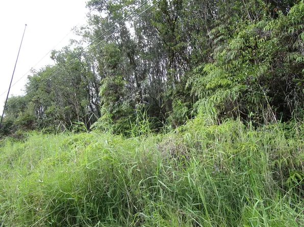 Waikiki St Lot 14, Mountain View, HI 96771