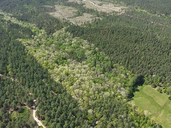 Obar Ln, Langley, AR 71952