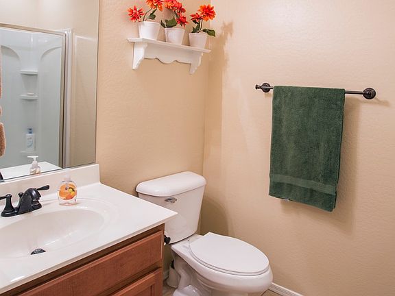 Downstairs bathroom & shower