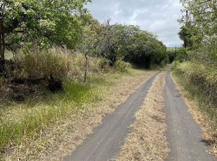 Malulani Rd LOT 34, Naalehu, HI 96772