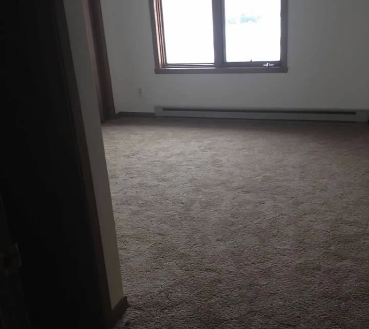 1 bed, 734 sqft, $1,100 — Photo 4