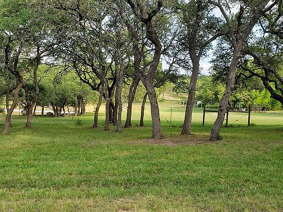 Park and pond