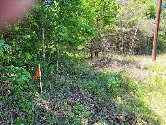 2nd image of 301 Twin Oaks Dr