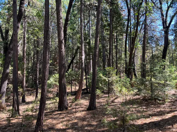 LOT 14 100th Rd, Shingletown, CA 96088