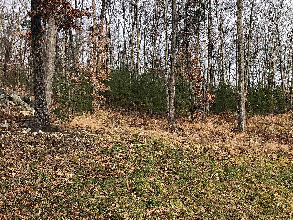 2nd image of 5 Whitetail Ridge #4A-23-13