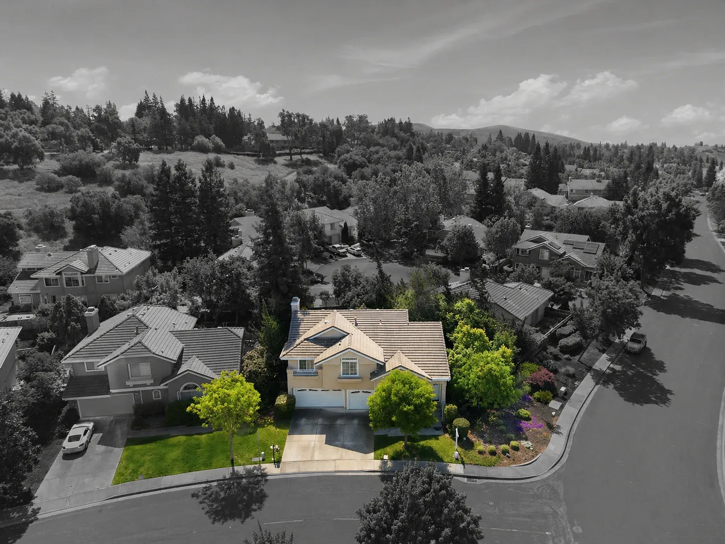 4 bed, 2501 sqft, $6,100 — Photo 3