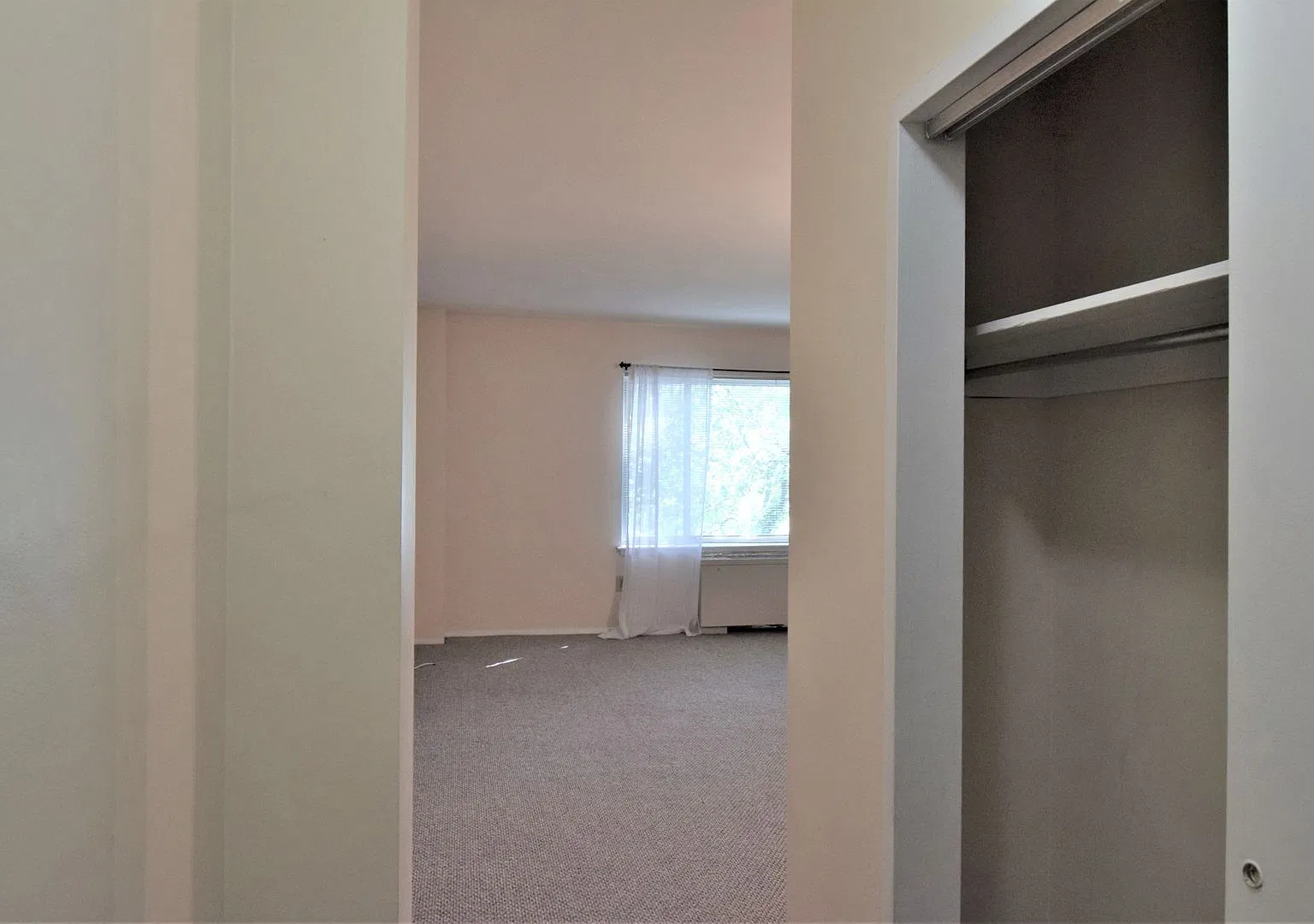 Spacious Studio in the Heart of Cleveland Park Incredible Location — Photo 4