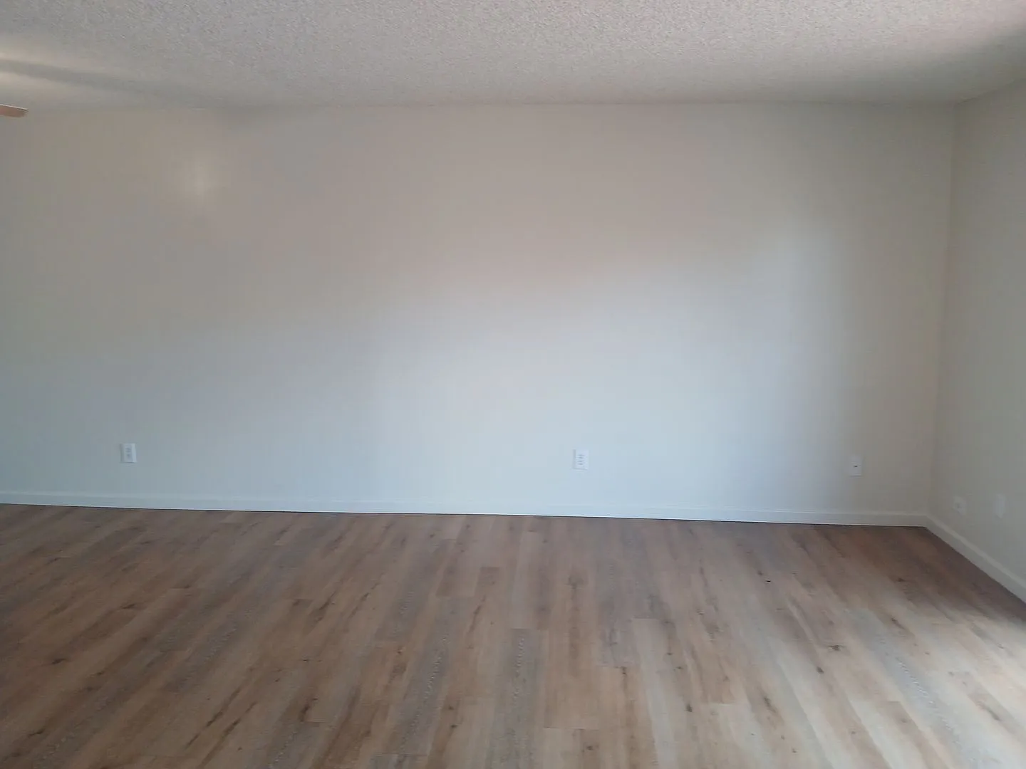2101s — Photo 2