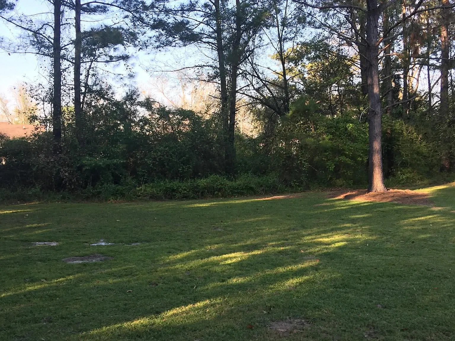2 bed, 1100 sqft, $1,400 — Photo 2