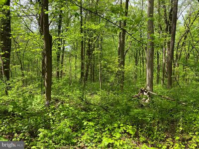 Old Sawmill Rd, Front Royal, VA, 22630
