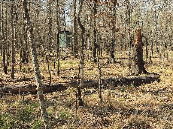 3rd image of 1275 County Road 1410 #86