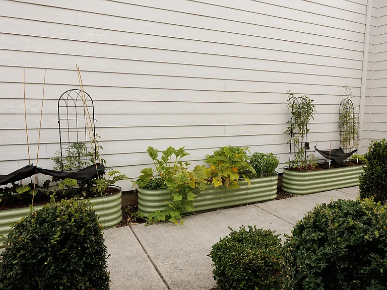 Garden bed (middle)