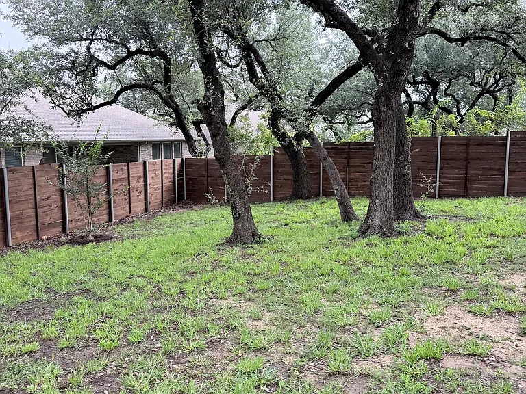 Backyard with live oak trees.