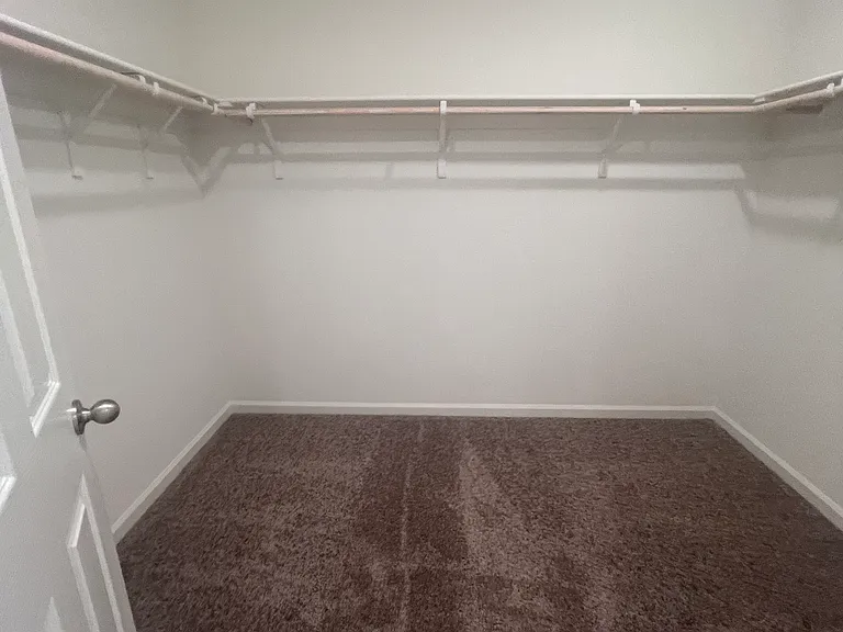 1123 Bengal Loop — Photo 4