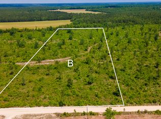 LOT 12 Old Shoals Rd, Monetta, SC 29105