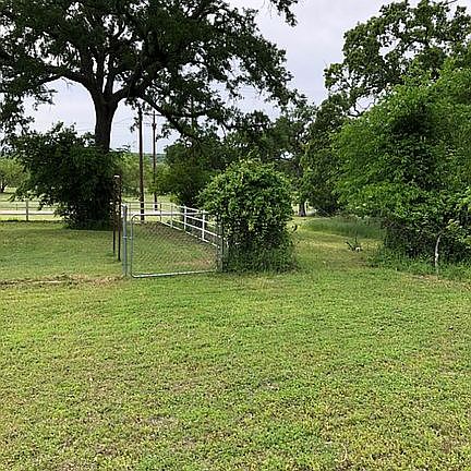 Back yard facing road
