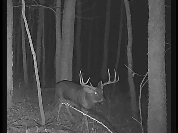 4th image of 0 Cherrybark Ln