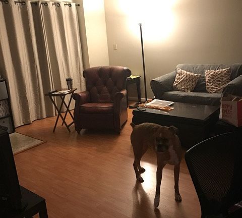 5th image of 6935 Mary Caroline Cir Unit C