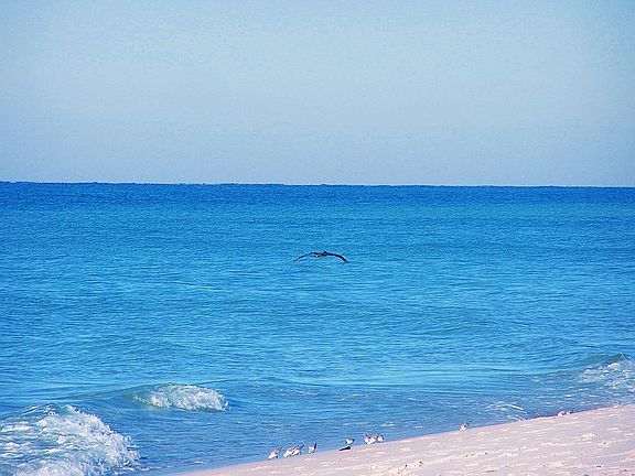 secluded beach