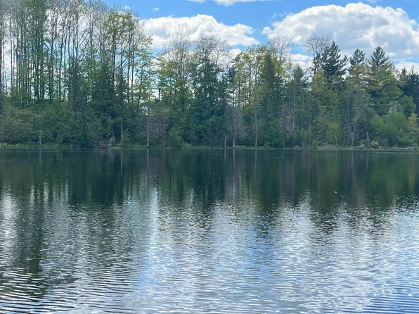 V/l 8046 Wallace Dr, Lake, MI 48632