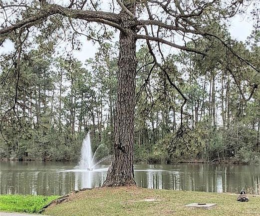 5th image of 465 Secluded Grove Loop