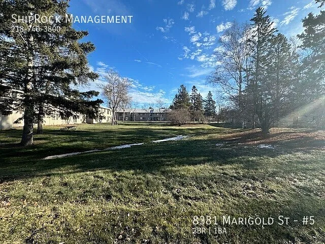 8381 Marigold St #5 — Photo 10