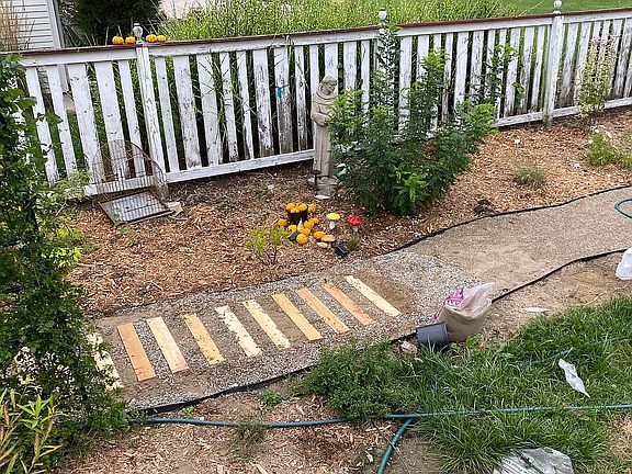 Back garden and pathway