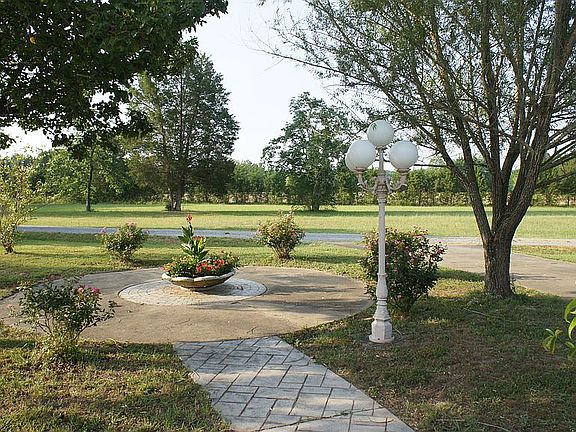 3rd image of 378 Driftwood Dr